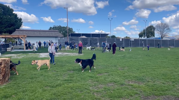 Allied Gardens Dog Park photo 1